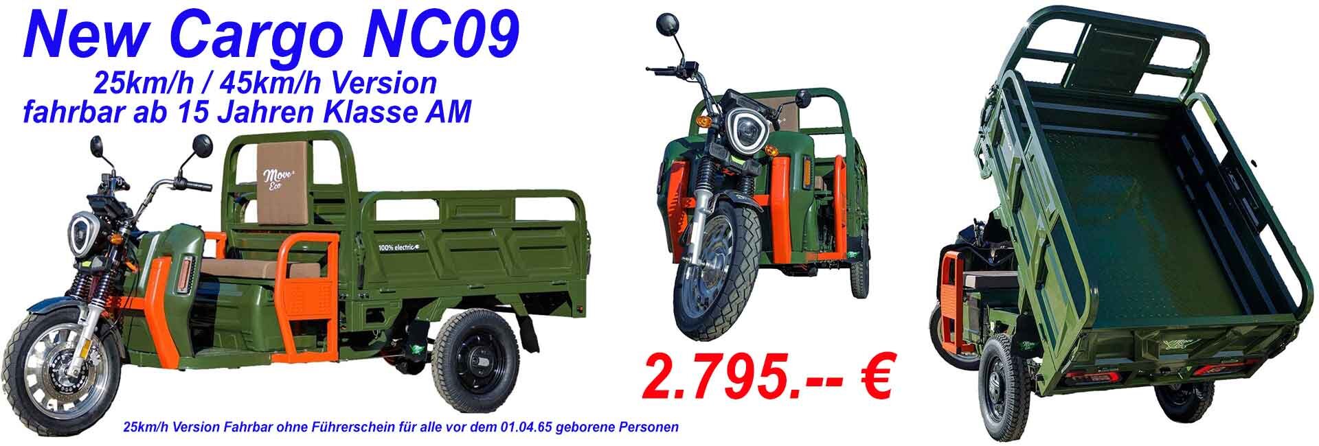 Move Eco NC09 Cargo Trike