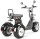 Rocknbikes CP7.1 Trike mit Neigefunktion Schwarz 45km/h Elektroroller mit Akku 60V25Ah