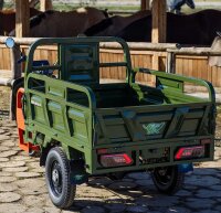 Elektrische Dreirad Cargo 500 NC09 Grün EEC 45km/h o. 25km/h Version Akku 72V58Ah ca. 70-80km Reichweite