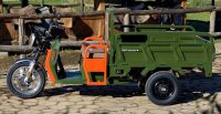 Elektrische Dreirad Cargo 500 NC09 Grün EEC 45km/h o. 25km/h Version Akku 72V58Ah ca. 70-80km Reichweite