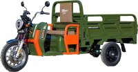 Elektrische Dreirad Cargo Trike 500 NC09 Grün EEC...