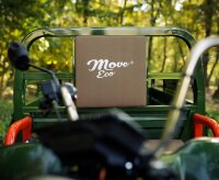 Elektrische Dreirad Cargo Trike 500 NC09 Grün EEC 25km/h Version Cargo Dreirad Akku 72V58Ah 70-80km Reichweite