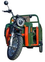 Elektrische Dreirad Cargo Trike 500 NC09 Grün EEC...