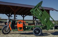 Elektrische Dreirad Cargo Trike 500 NC09 Grün EEC 25km/h Version Cargo Dreirad Akku 72V58Ah 70-80km Reichweite