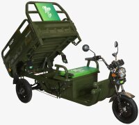 Elektrische Dreirad Cargo 500EEC Grün EEC 45km/h Version mit Strassenzulassung MADE in EUROPE