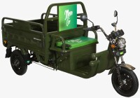 Elektrische Dreirad Cargo 500EEC Grün EEC 45km/h Version mit Strassenzulassung MADE in EUROPE