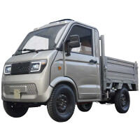 RocknBikes Pick-Up Cargo PK1 (A41) Grau  gallery