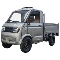 RocknBikes Pick-Up Cargo PK1 (A41) Grau 72V108Ah LiFeP04 Akk