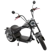 Rocknbikes RE10 MH3 Elektro-Chopper Carbon-Look Graphite...