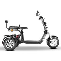 Rocknbikes CP3.1 Trike Schwarz Shiney 45km/h Elektroroller mit Akku 60V25Ah