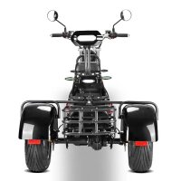 Rocknbikes CP3.1 Trike Schwarz Shiney 45km/h Elektroroller mit Akku 60V25Ah