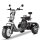 Rocknbikes CP3.1 Trike Schwarz Shiney 45km/h Elektroroller mit Akku 60V25Ah