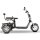 Rocknbikes CP3.1 Trike Schwarz Shiney 45km/h Elektroroller mit Akku 60V25Ah