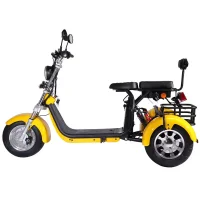 Rocknbikes CP3.1 Trike Gelb Yellow 45km/h Elektroroller mit Akku 60V25Ah