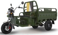 E-Cargo Trike Eccostar C06 (Green) without Battery – 45 km/h Street-Legal with Tipping Body – 45 km/h Moped Version – Partially Assembled, Battery Not Included