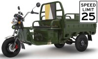 EccoStar C06 Electric Cargo Trike 60V45Ah (Green) 25 km/h...