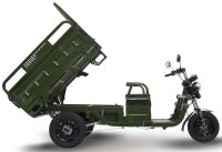 EccoStar C06 Electric Cargo Trike (Green) without Battery...