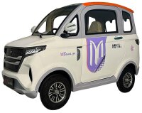 EccoStar X5 E Mint 58Ah Akku 4-Wheeler MicroCar 45km/h Mokick ab15 mit Führerschein AM 2-Personen Straßenzulassung