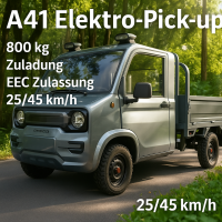 RocknBikes Pick-Up Cargo A41 Grau 72V108Ah LiFeP04 Akku 25km/h Version 2 Personen Straßenzulassung