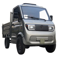 RocknBikes Pick-Up Cargo PK1 (A41) Grau 72V100Ah LiFeP04 Akk