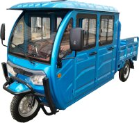 RocknBikes Saige Doppelkabine Hell-Blau 45km/h Mokick-Version mit Kippmulde und Straßenzulassung 72V108Ah LiFeP04 Akkuset