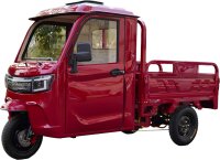 RocknBikes KH1 Türkis 45km/ Mokick Version Elektro-Dreirad mit Kabine und manueller Kippmulde mit Straßenzulassung LiFeP04 72V80AH