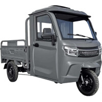 RocknBikes KH1 Grau 25km/h Version Elektro-Dreirad mit Kabin