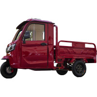 RocknBikes KH1 Grau 25km/h Version Elektro-Dreirad mit Kabin