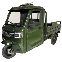 RocknBikes KH1 Grau 25km/h Version Elektro-Dreirad mit Kabin